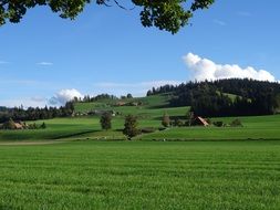 farm fields in emmental