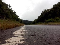 asphalt road in the forest close-up
