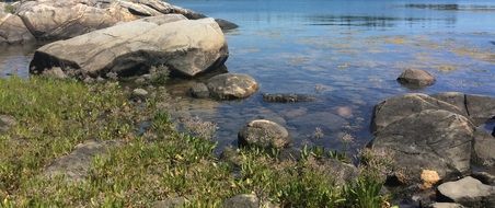 Picture of rock on a river bank