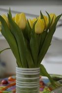 charming tulip bouquet
