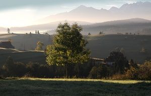 Polish Tatras in the morning mist