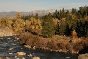 landscsape of autumn trees and mountain