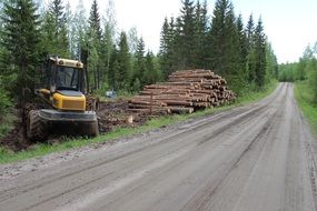 tractor near dirt road in forest