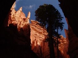 Orange Rock Formations in Bryce Canyon on a sunny day