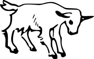 goat as an illustration