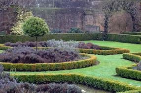 Colorful plants in the garden in winter