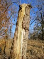 enchanting nature reserve
