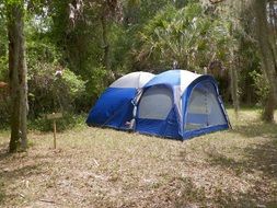 blue tent in a clearing in the forest