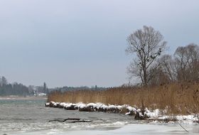 panorama of the frozen shore of the lake