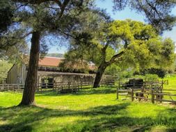 barn at farm, summer countryside, usa, california