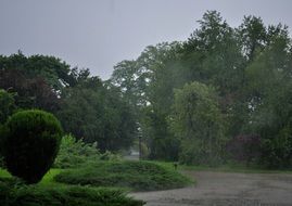 rain in the green park