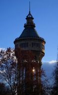 the silhouette of the tower in the trees