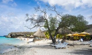 coastline in curacao