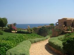 green landscape of the hotel in Egyp