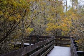 wooden bridge for walking in a park in Florida