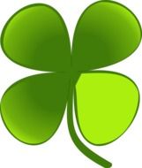 four leaf clover as a symbol of patrick