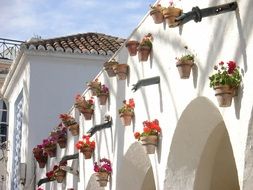 Beautiful flower pots with colorful flowers on a white arcade in Nerja, Spain