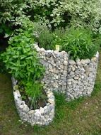 pots with aromatic herbs in the garden