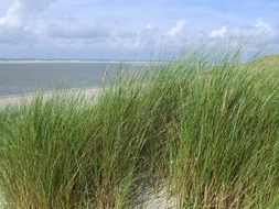 langeoog sand beach