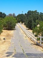 Country road near the trees