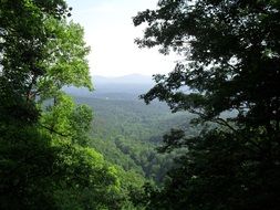 mountain trees landscape