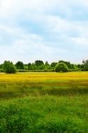 summer scenic landscape of countryside