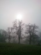 Fog on the meadow in autumn
