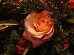 rose in christmas bouquet