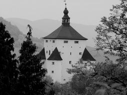 hill castle and trees b w photography