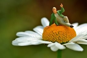 male figure on a daisy