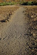 migratory path in the teide national park