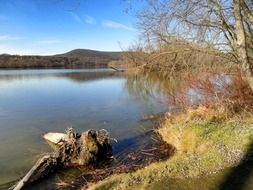 Landscape of the lake coast with colorful plants in South Hadley