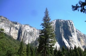 famous yosemite national park