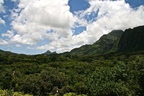 mountain with trees under the sky, hawaii, valley