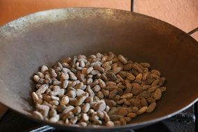 raw cacoa farming in bowl