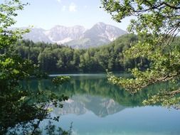 gentle and cute valley