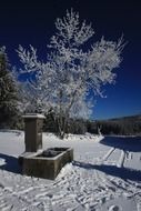 photo of a fountain in a winter landscape