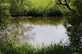 pond pools river green water