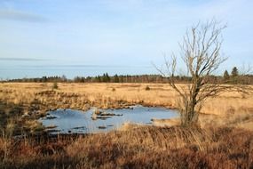 lake in a field with dry grass