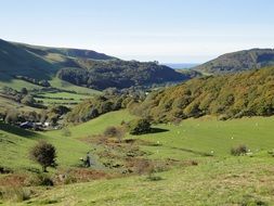 sheep pastures on the mountain