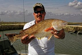 fisherâs catch