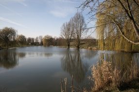 reflection of trees in an autumn pond