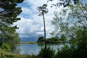 different trees near the lake