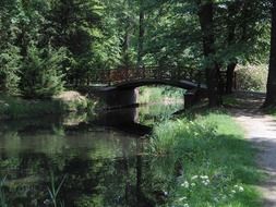 Bridge for a walk across the river in the park