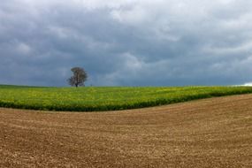 plowed field and rapeseed field under storm clouds