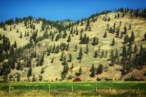 wondrous ranch near mountains, usa, montana
