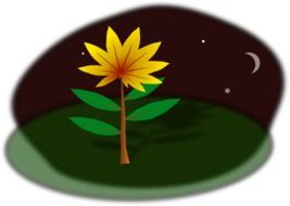 painted yellow flower on a green field at night