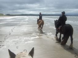 People riding horses on the coast of Ireland