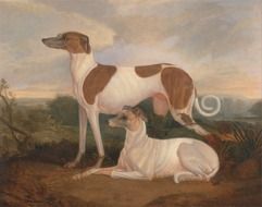 painting of dogs by charles hancock