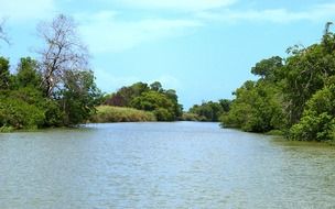 black river and wetland